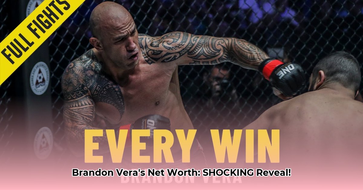 brandon-vera-net-worth